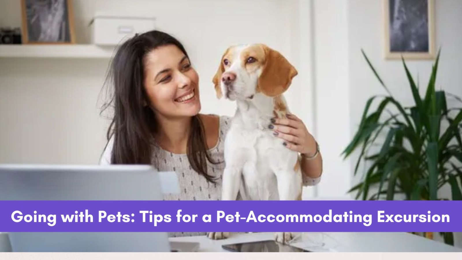 Going with Pets: Tips for a Pet-Accommodating Excursion