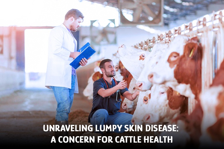 Unraveling Lumpy Skin Disease: A Concern for Cattle Health