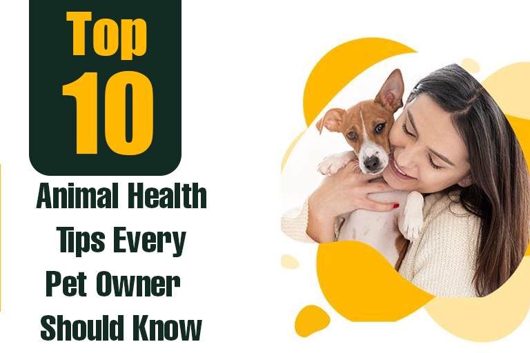 Animal Health Tips Every Pet