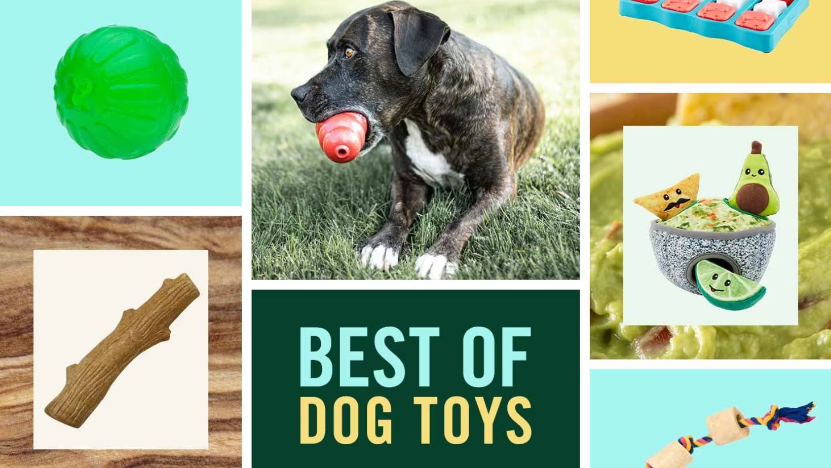 Finding Joy: The Best Toys for Your Beloved Dog