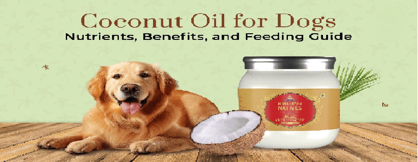 Enhance Your Canine Companion’s Beauty: Unveiling the Finest Hair Oils for Dogs for a Shiny, Healthy Coat